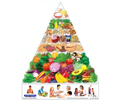 Nutritional balance and food energy